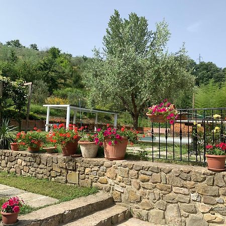 Guest House Torre Guelfa, Vinsantaia Figline Valdarno Εξωτερικό φωτογραφία